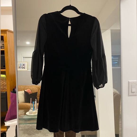 BCBG dress. Velvet and sheer. NEVER BEEN WORN - Picture 4 of 8